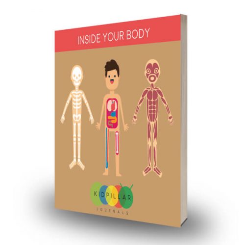 Look Inside your Body