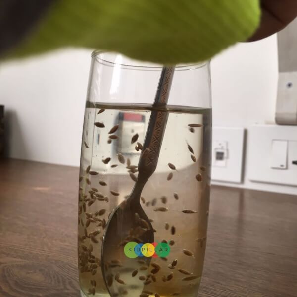 Science experiments for kids
