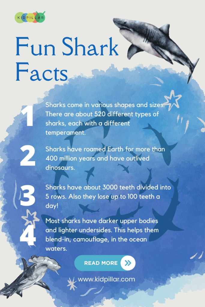 Amazing Shark Facts for Kids