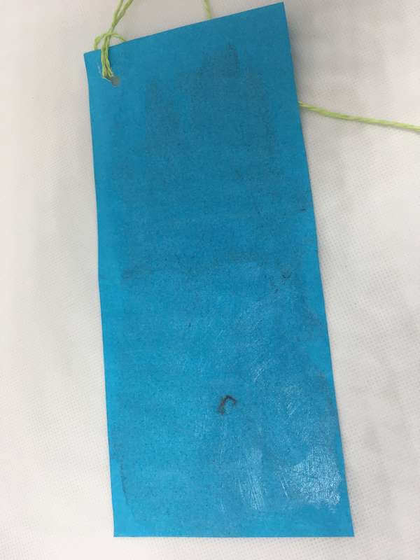 wind experiment for kids