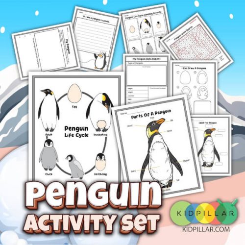 Penguin Activity Set