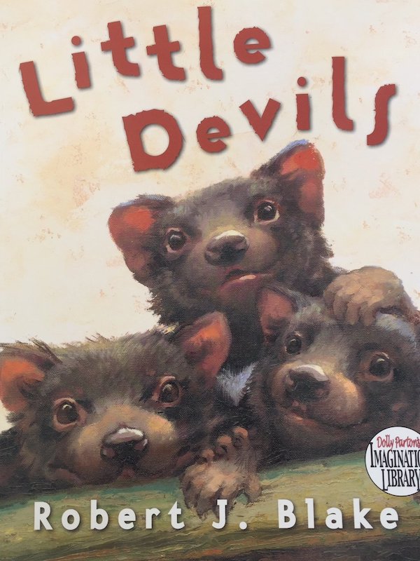 Books to teach Problem Solving to Kids