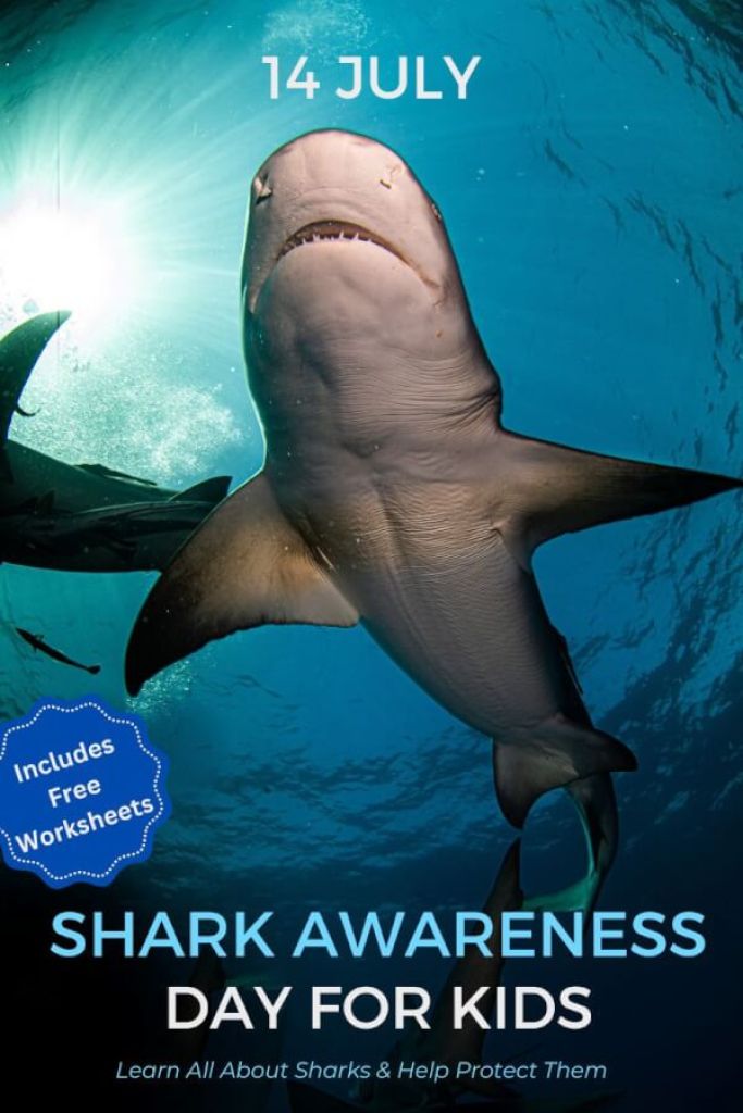 Shark Awareness Day Ideas for Kindergarten