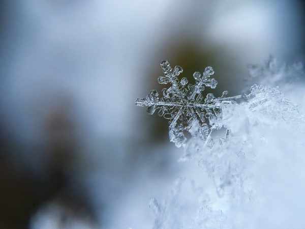 Ice crystal
