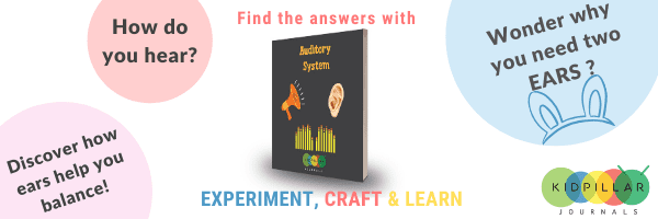 STEM books for kids