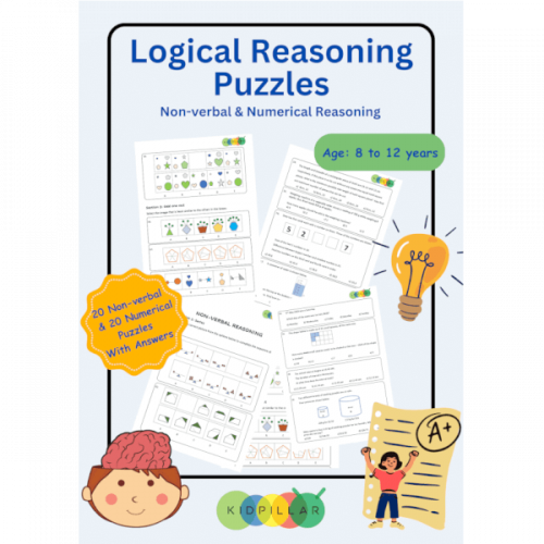 Logical Reasoning Puzzles